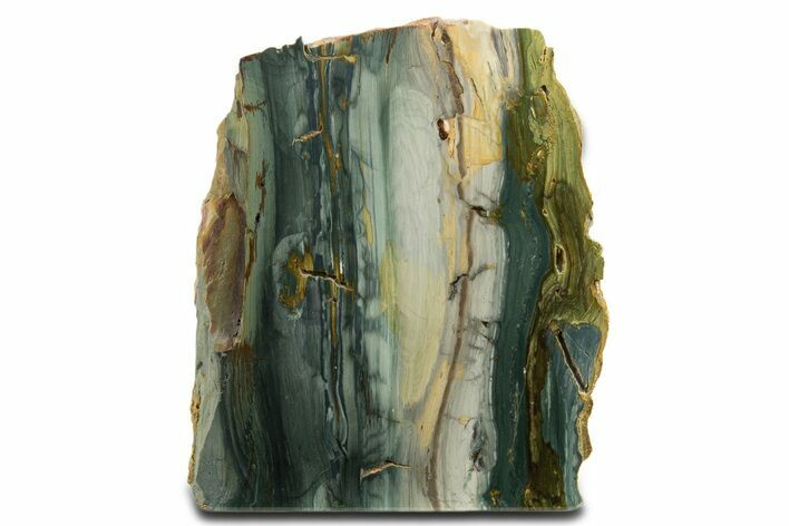 Free-Standing, Gary Green Jasper (Larsonite) Bog Wood - Oregon #334852